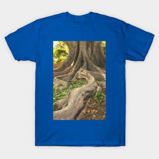 The long and winding root T-Shirt by thadz